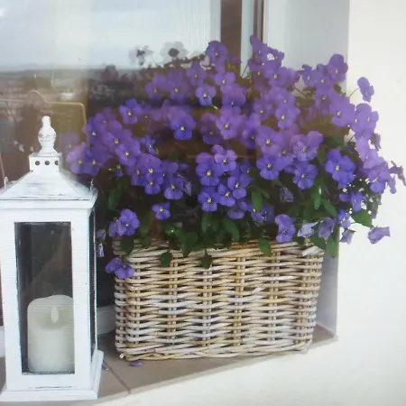 Centrum 9 Appartement Kołobrzeg